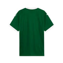CAMISA DO PALMEIRAS 25/26 VERDE